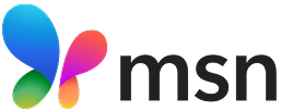 MSN Logo